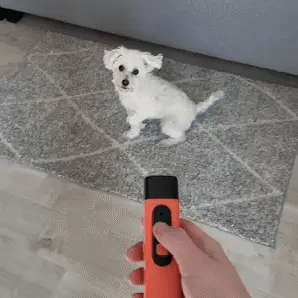 KlangBlitz | Stoppe das Bellen des Hundes mit einem Klick