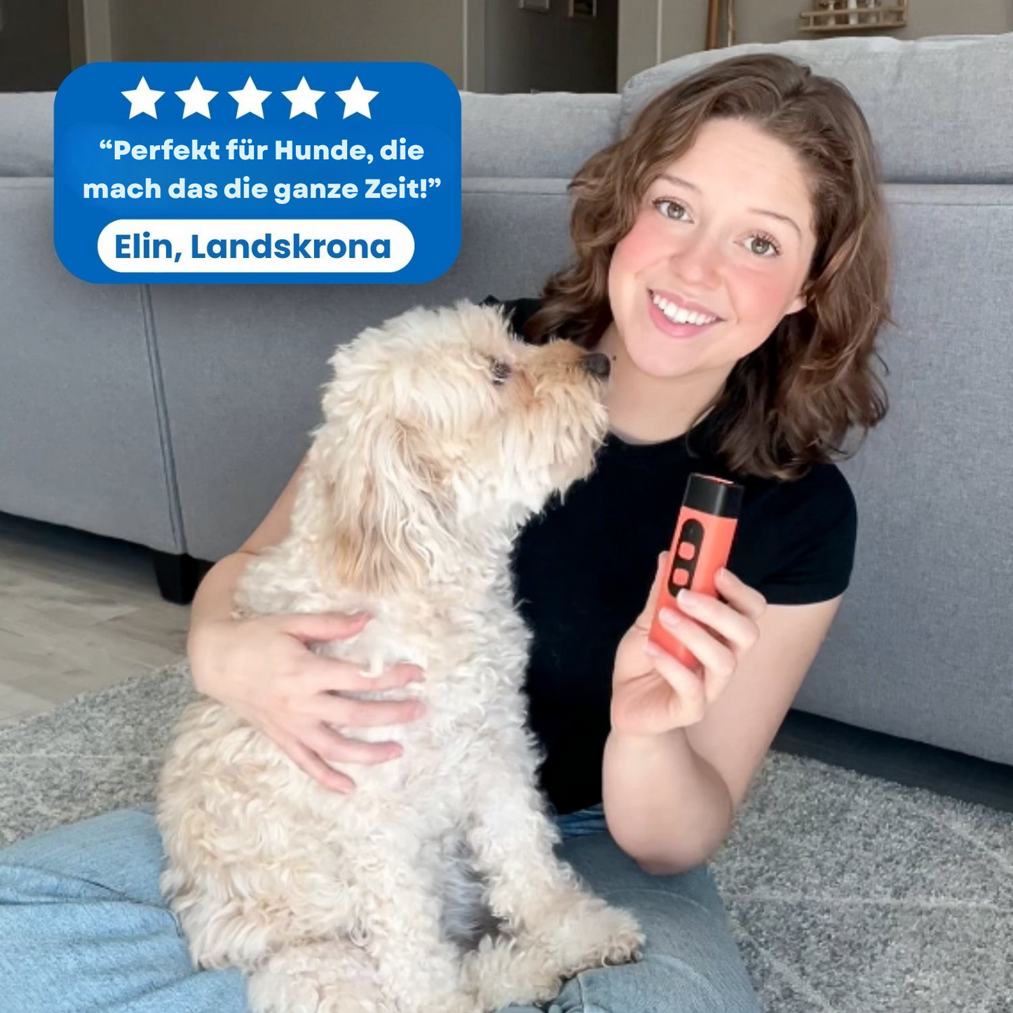 KlangBlitz | Stoppe das Bellen des Hundes mit einem Klick