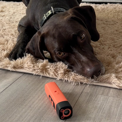KlangBlitz | Stoppe das Bellen des Hundes mit einem Klick